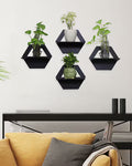 Random shaped wall shelves showing plants on them