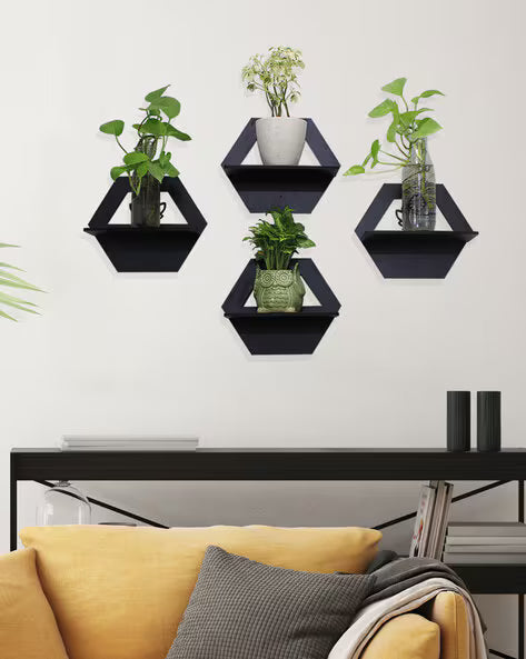 Random shaped wall shelves showing plants on them