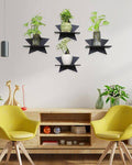 Star shaped shelves